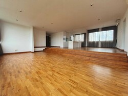 Nassim Regency (D10), Condominium #347867211